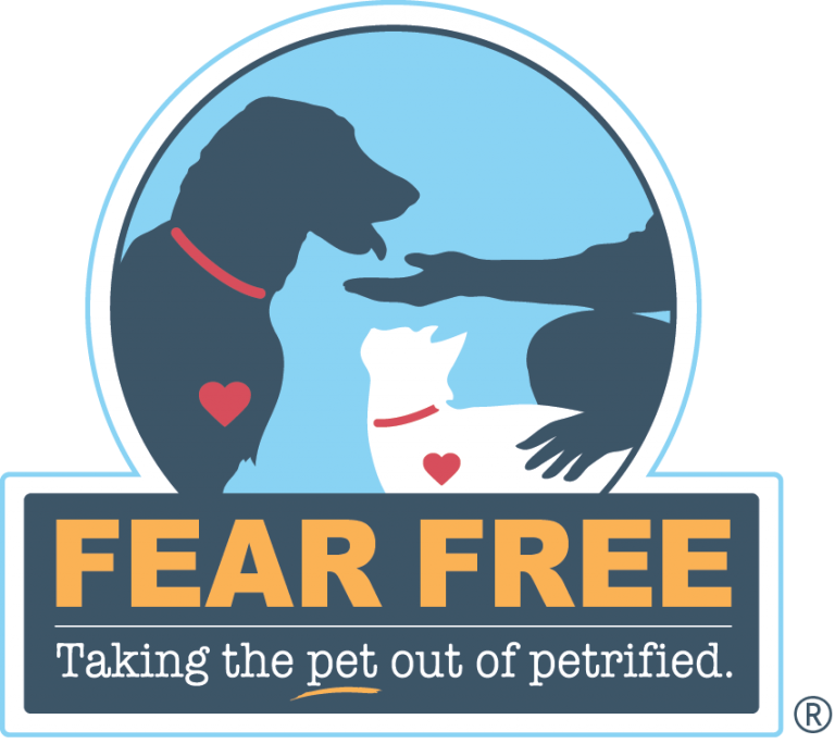 Fear Free veterinary handling OhMyDog Dog Training The Hague